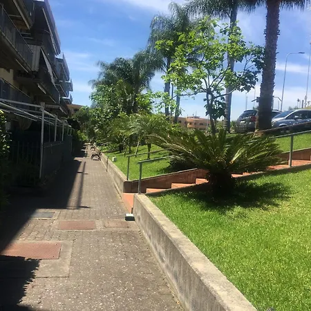 Ficu E Sali